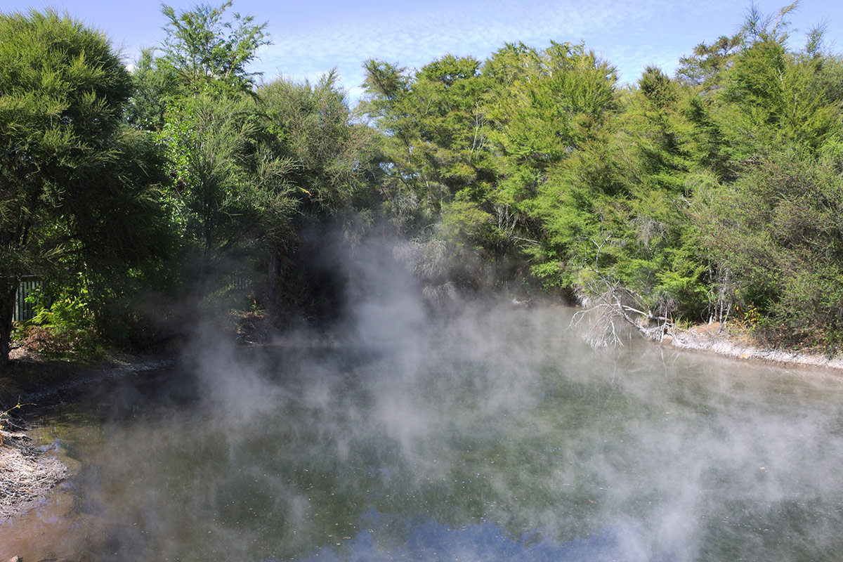 beautiful-scenery-hot-pool-surrounded-by-green-trees-new-zealand